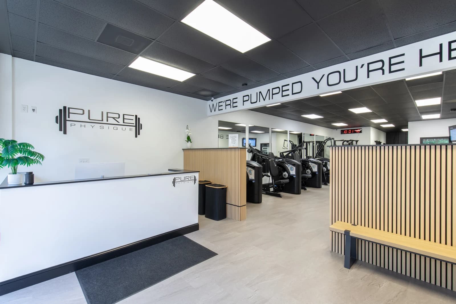 Pure Physique training facility, Fort Mill SC commercial upfit (photo 3)