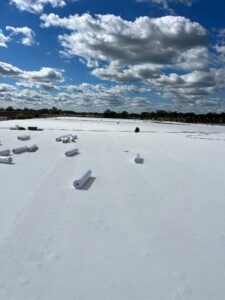 Roof Coating